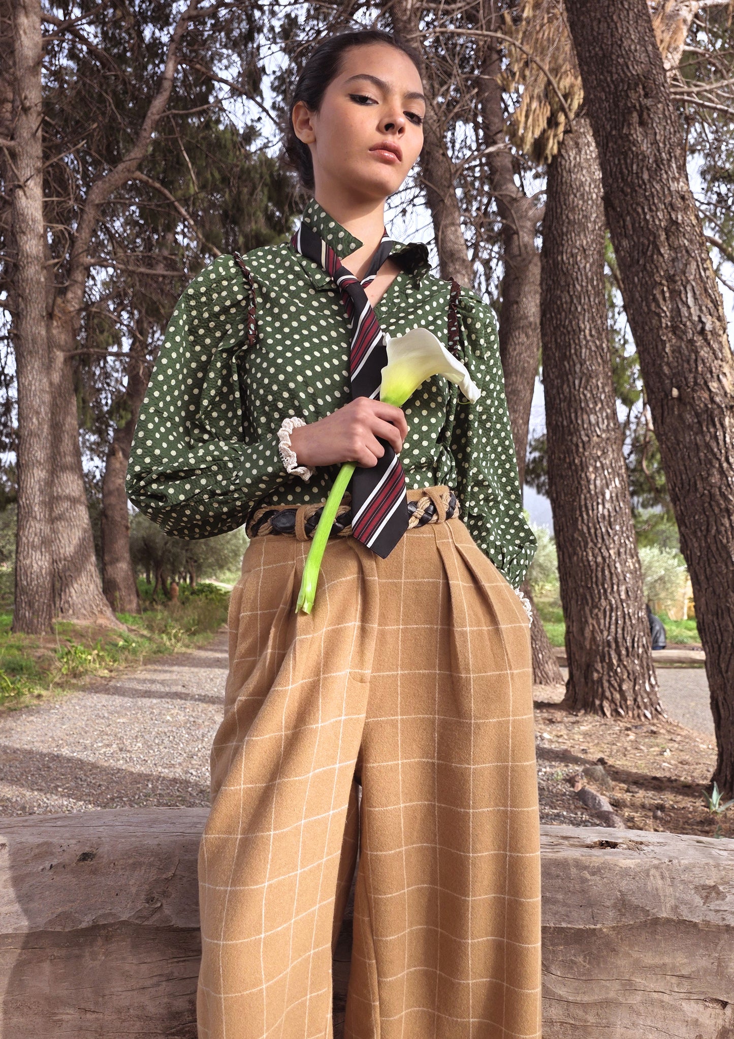 Blouse Joe Chocolat Pois Verts - Claramonte