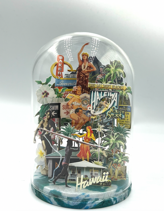 Globe S Hawaii - The Map