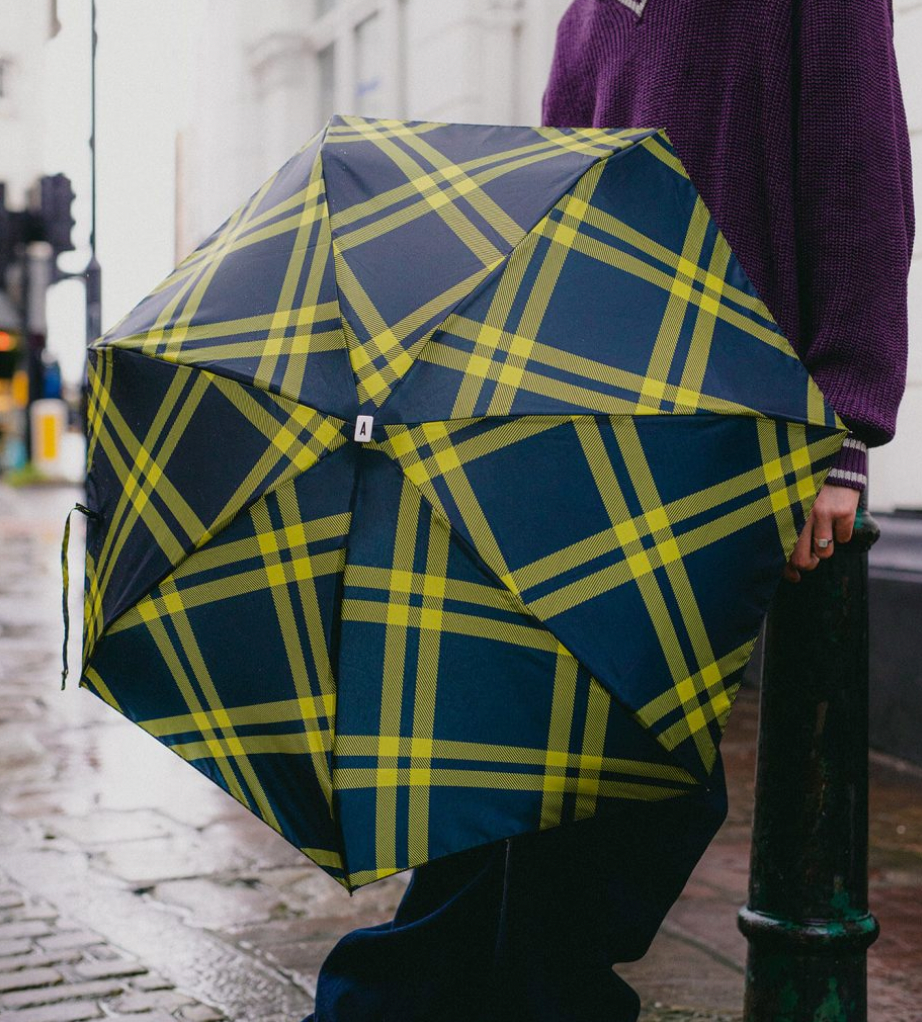 Mini Parapluie Alwyne - Anatole