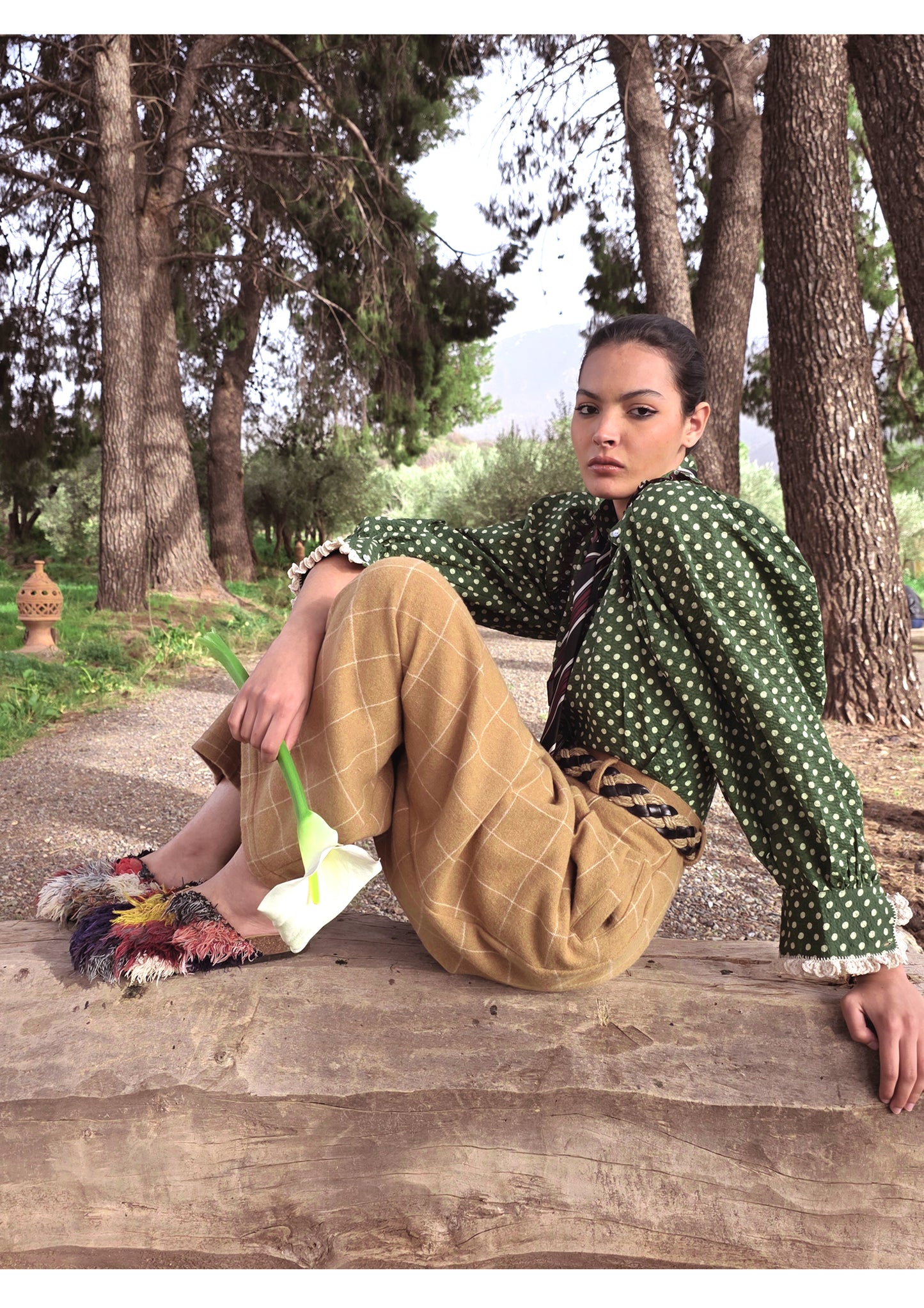 Blouse Joe Chocolat Pois Verts - Claramonte