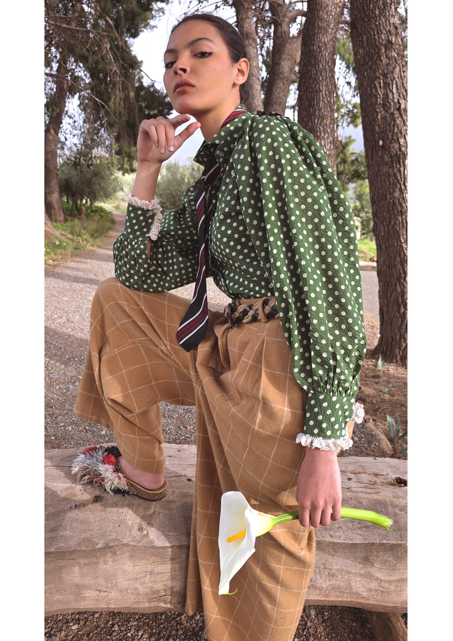 Blouse Joe Chocolat Pois Verts - Claramonte