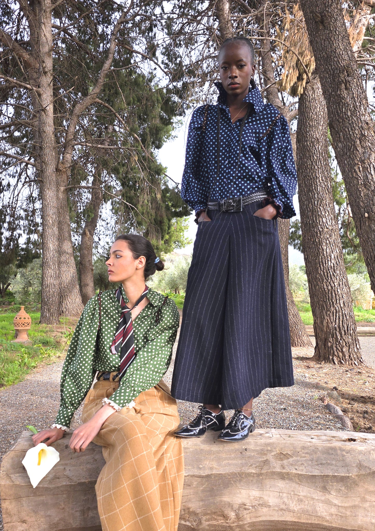 Blouse Joe Chocolat Pois Verts - Claramonte